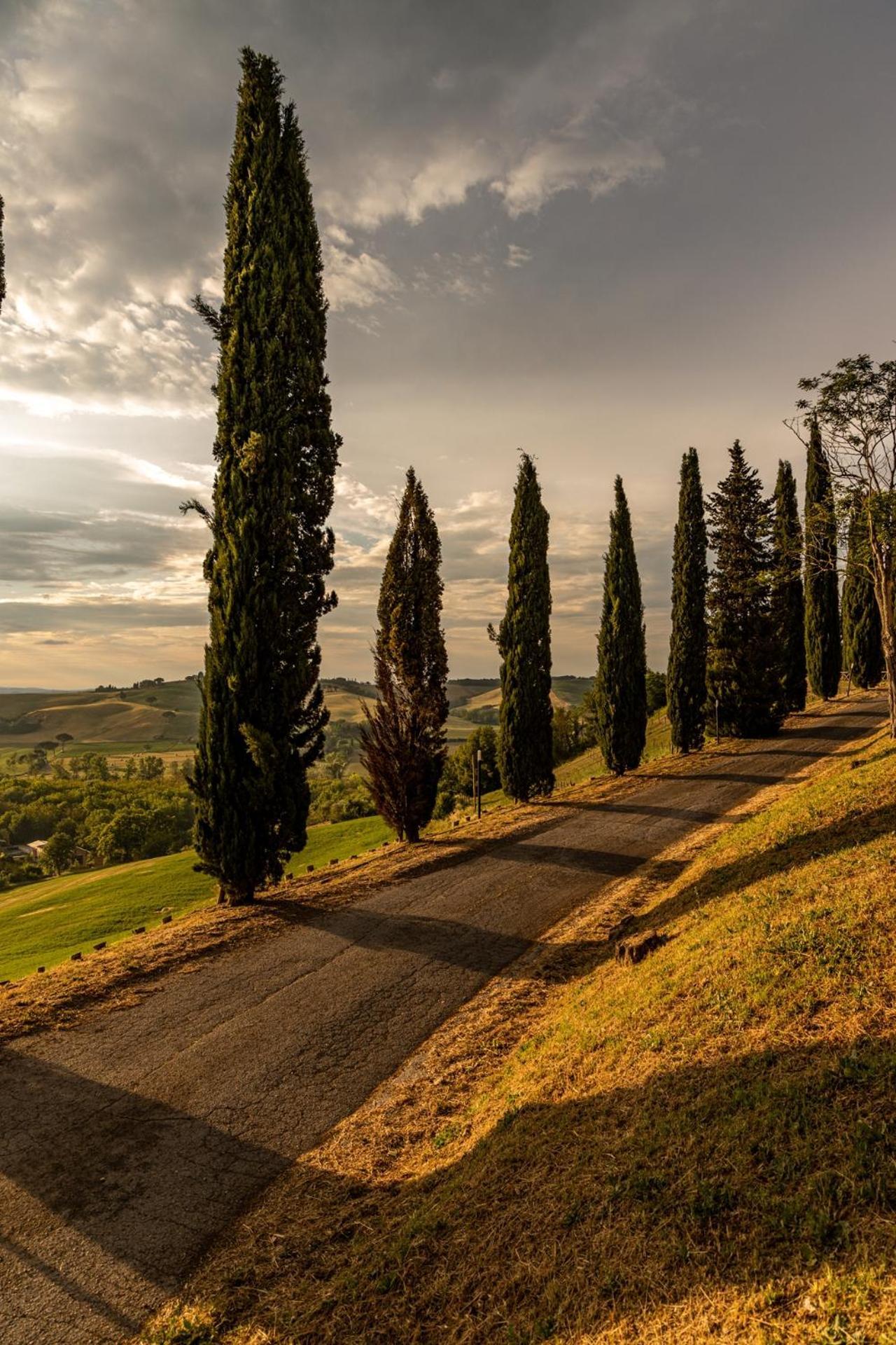 Agriturismo Percenna Buonconvento Exterior photo