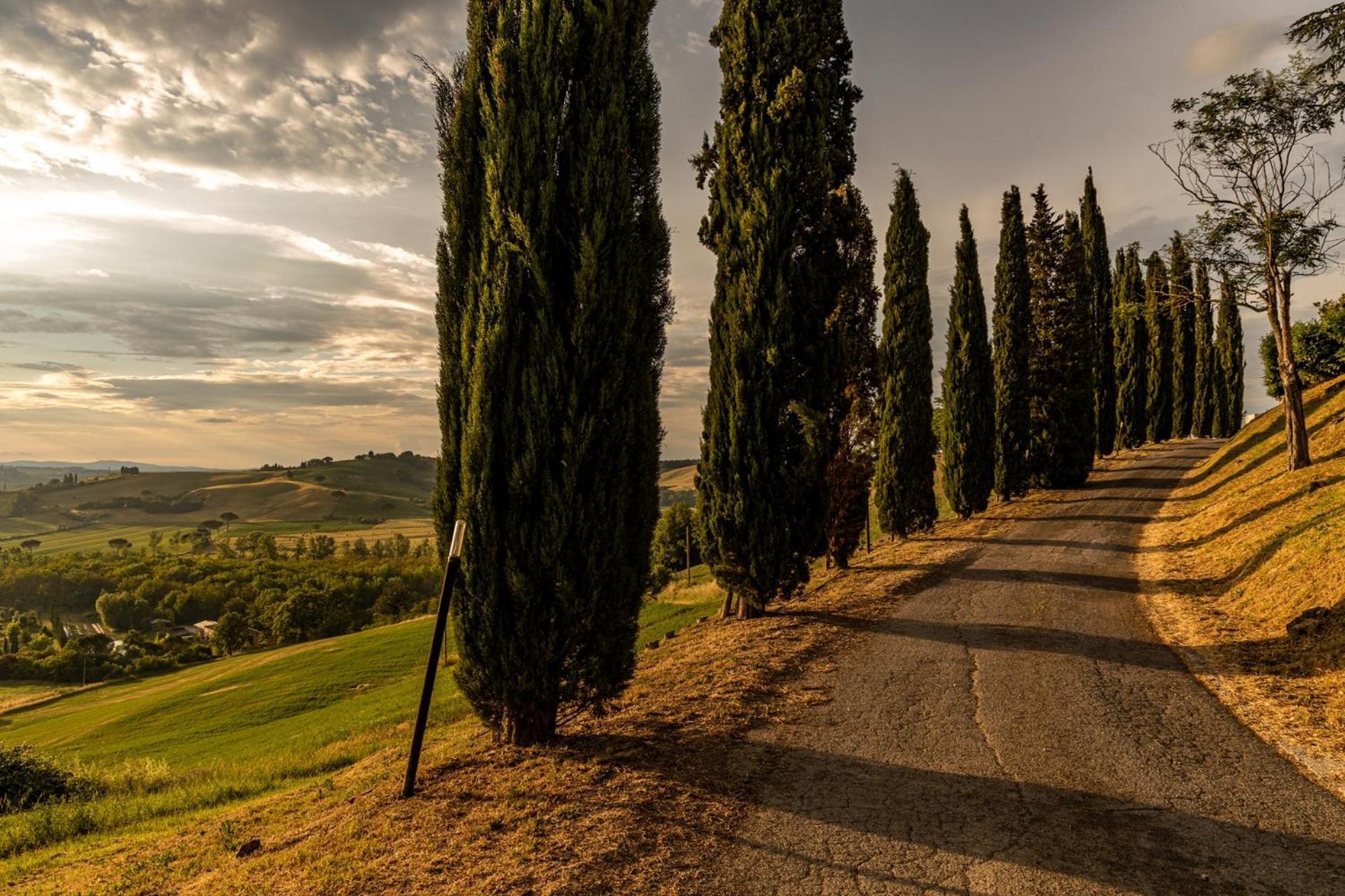 Agriturismo Percenna Buonconvento Exterior photo